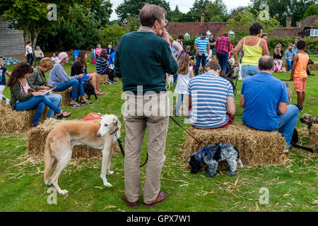 Die Hundeausstellung am jährlichen Hartfield Dorffest, Hartfield, East Sussex, UK Stockfoto