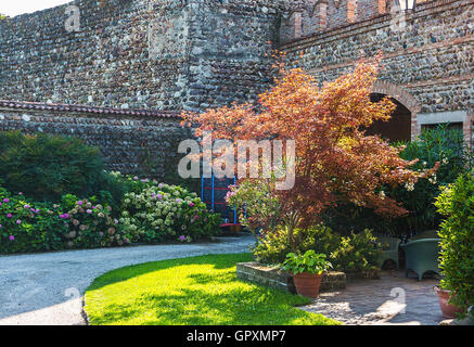 Innenhof des alten Schlosses mit Pflanzen Stockfoto