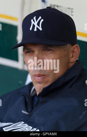 31. Mai 2011; Oakland, CA, USA; New York Yankees-Trainer Joe Girardi (28) sitzt vor dem Spiel gegen die Oakland Athletics im Oakland-Alameda County Coliseum im Dugout. New York besiegte Oakland mit 10:3. Stockfoto