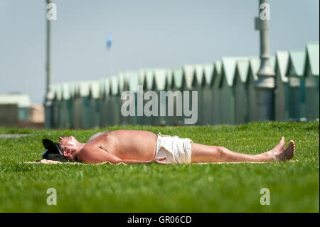 Eine einsame Sonnenanbeter auf Hove Rasen in der Nähe der Strandhütten direkt am Meer. Stockfoto