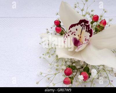 Weiße Orchidee Blume, Hypericum rote Beeren und Schleierkraut auf den weißen Frotteetuch Stockfoto