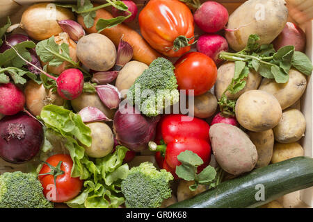 Verschiedene Bio-Gemüse als natürliche Stillleben für gesundes und vegetarisches Essen als Draufsicht Hintergrundbild für thanksgiving Stockfoto