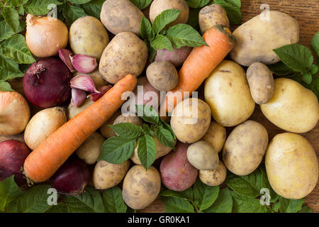 Frischem Wurzelgemüse, Kartoffeln, Zwiebeln, Karotten und Knoblauch als natürliches Lebensmittel Hintergrundbild mit grünen Blättern eine Kartoffelpflanze Stockfoto
