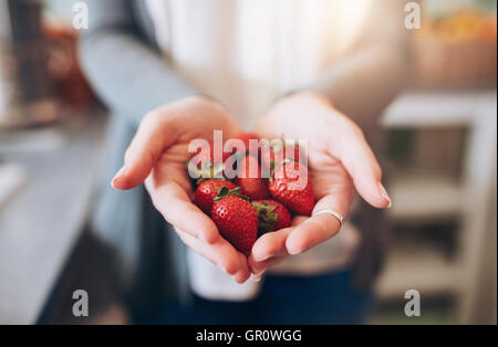 Abgeschnitten Bild eines Weibes Hände halten ein paar Erdbeeren. Frau hält eine Handvoll frische Erdbeeren. Stockfoto