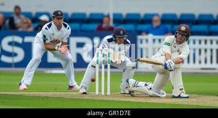 London, UK. 6. September 2016. Rory Burns fegt für vier Läufe mit der Wimper für Surrey am ersten Tag der Specsavers County Championship Division One Spiel gegen Hampshire im Oval. David Rowe/Alamy Live News. Stockfoto