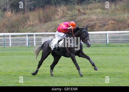 Auteuil, Route des Lacs in Paris, Frankreich. 6. September 2016. Rennen 8, Jean Noiret Chase. Commetoi von Thomas Beaurain Credit geritten: Action Plus Sport Bilder/Alamy Live News Stockfoto