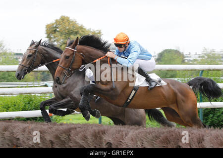 Auteuil, Route des Lacs in Paris, Frankreich. 6. September 2016. Rennen 1, Prix Finot zeigt Kapkicha geritten von Steven Colas Credit: Action Plus Sport Bilder/Alamy Live News Stockfoto