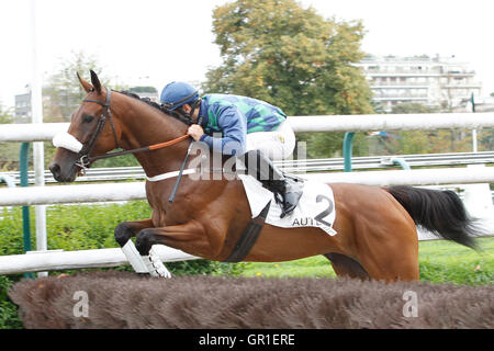 Auteuil, Route des Lacs in Paris, Frankreich. 6. September 2016. Rennen 4, Melanos aufgeführten Hürde. Politikar geritten von Bertrand Lestrade Credit: Action Plus Sport Bilder/Alamy Live News Stockfoto