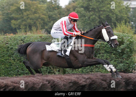 Auteuil, Route des Lacs in Paris, Frankreich. 6. September 2016. Rennen 7, Falzarego behauptet Hürde. Rangun, geritten von Alexandre Seigneul Credit: Action Plus Sport Bilder/Alamy Live News Stockfoto