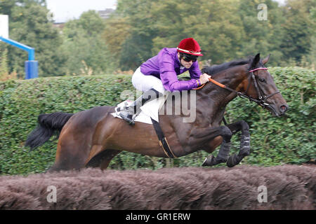 Auteuil, Route des Lacs in Paris, Frankreich. 6. September 2016. Rennen 4, Melanos aufgeführten Hürde. Bulkov von Steven Colas Credit geritten: Action Plus Sport Bilder/Alamy Live News Stockfoto