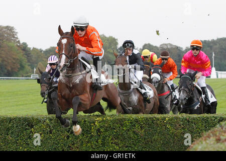 Auteuil, Route des Lacs in Paris, Frankreich. 6. September 2016. Rennen 8, Jean Noiret Chase. Corazones geritten von J Tabary Credit: Action Plus Sport Bilder/Alamy Live News Stockfoto