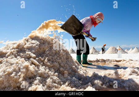 Zhangye, Zhangye, China. 7. Sep, 2016. Zhangye, CHINA-? 6. September 2016:? (REDAKTION? VERWENDEN SIE? NUR.? CHINA? RAUS) ein Salz Pfanne Arbeiter in die Gaotai Salz Verdampfung-Teich in Gaotai County, Zhangye, nordöstlichen ChinaÂ¡Â¯s der Provinz Gansu auf 6. September 2016. Die Gaotai Salt Pond ist die Basis, die wichtigsten Materialien für Unternehmen der chemischen Industrie in der Provinz Gansu. © SIPA Asien/ZUMA Draht/Alamy Live-Nachrichten Stockfoto