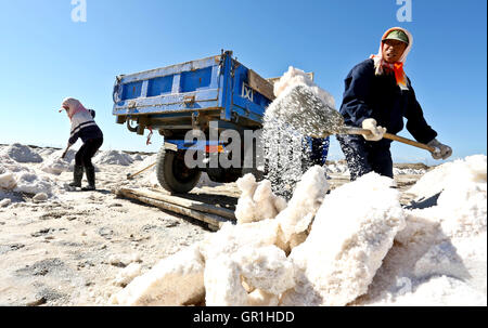 Zhangye, Zhangye, China. 7. Sep, 2016. Zhangye, CHINA-? 6. September 2016:? (REDAKTION? VERWENDEN SIE? NUR.? CHINA? ER) Salzpfanne Arbeiter in die Gaotai Salz Verdampfung-Teich in Gaotai County, Zhangye, nordöstlichen ChinaÂ¡Â¯s der Provinz Gansu am 6. September 2016. Die Gaotai Salt Pond ist die Basis, die wichtigsten Materialien für Unternehmen der chemischen Industrie in der Provinz Gansu. © SIPA Asien/ZUMA Draht/Alamy Live-Nachrichten Stockfoto