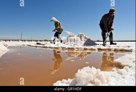 Zhangye, Zhangye, China. 7. Sep, 2016. Zhangye, CHINA - 6. September 2016: (nur zur redaktionellen Verwendung. CHINA aus) Salzpfanne Arbeiter in die Gaotai Salz Verdampfung-Teich in Gaotai County, Zhangye, nordöstlichen ChinaÂ¡Â¯s der Provinz Gansu am 6. September 2016. Die Gaotai Salt Pond ist die Basis, die wichtigsten Materialien für Unternehmen der chemischen Industrie in der Provinz Gansu. © SIPA Asien/ZUMA Draht/Alamy Live-Nachrichten Stockfoto