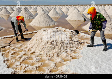 Zhangye, Zhangye, China. 7. Sep, 2016. Zhangye, CHINA - 6. September 2016: (nur zur redaktionellen Verwendung. CHINA aus) Salzpfanne Arbeiter in die Gaotai Salz Verdampfung-Teich in Gaotai County, Zhangye, nordöstlichen ChinaÂ¡Â¯s der Provinz Gansu am 6. September 2016. Die Gaotai Salt Pond ist die Basis, die wichtigsten Materialien für Unternehmen der chemischen Industrie in der Provinz Gansu. © SIPA Asien/ZUMA Draht/Alamy Live-Nachrichten Stockfoto