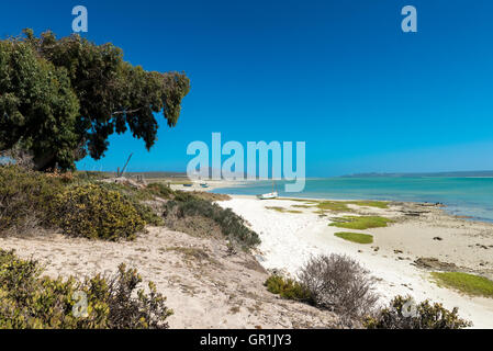 Blick über Langebaan Lagune, West Coast National Park, Südafrika Stockfoto