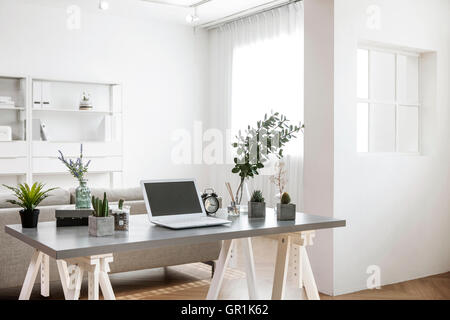 Innenraum mit bepflanzten Töpfen und Notebook-Computer auf Tisch Stockfoto