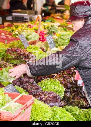 Eine Frau Marktstand Salat auswählen. Eine Frau wählt einen Salat aus einer Vielzahl von Produkten an einem Marktstand. Stockfoto
