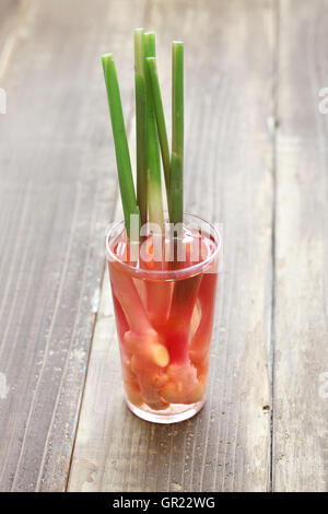hausgemachte süß-sauer eingelegte Blatt Ingwer, japanisches Essen Stockfoto