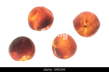 Draufsicht der ganze Nektarinen isoliert auf einem weißen Hintergrund. Stockfoto