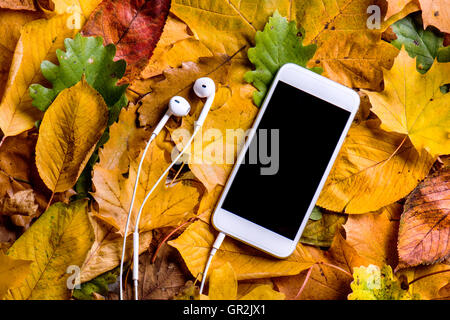 Herbst Komposition. Bunte Blätter, Smartphone, Kopfhörer. Stu Stockfoto