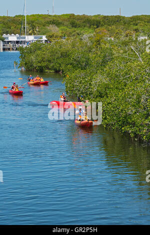 Florida Keys, Key Largo, John Pennekamp Coral Reef State Park, Kanuten paddeln Sie durch Mangrovenwald in der Nähe von marina Stockfoto