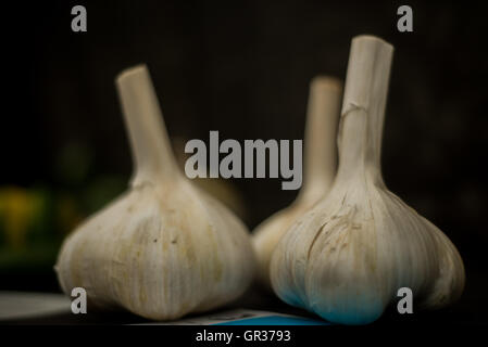 Knoblauch Zwiebeln, best in show Stockfoto