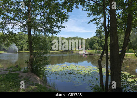 Ein kleiner See mit Seerosen im Park von Selenogradsk, ex-Cranz, Gebiet Kaliningrad, Russland Stockfoto