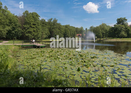 Ein kleiner See mit Seerosen im Park von Selenogradsk, ex-Cranz, Gebiet Kaliningrad, Russland Stockfoto