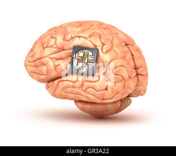 Menschliche Gehirn mit Computer-chip Stockfoto