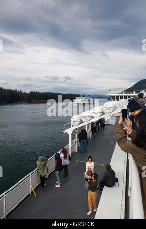 Zwei Fähren, die in entgegengesetzte Richtungen durch Active Pass reisen Stockfoto