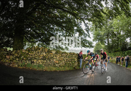 Fahrer, die den Kampf auf der zweiten Etappe der Tour of Britain 2016 Klettern Radrennen. Stockfoto