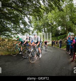 Fahrer, die den Kampf auf der zweiten Etappe der Tour of Britain 2016 Klettern Radrennen. Stockfoto