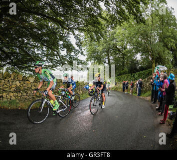 Fahrer, die den Kampf auf der zweiten Etappe der Tour of Britain 2016 Klettern Radrennen. Stockfoto