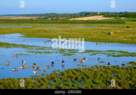 Cley Naturschutzgebiet mit Blick auf Salthouse, North Norfolk, england Stockfoto