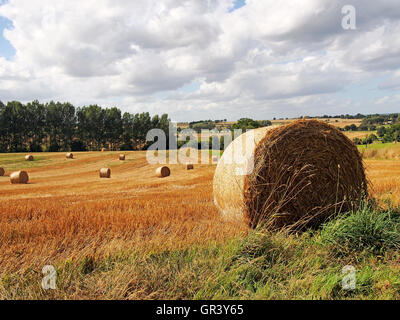Rundballen Stroh in abgeernteten Weizenfeld im Département Orne Normanfy, Frankreich, Europa Stockfoto