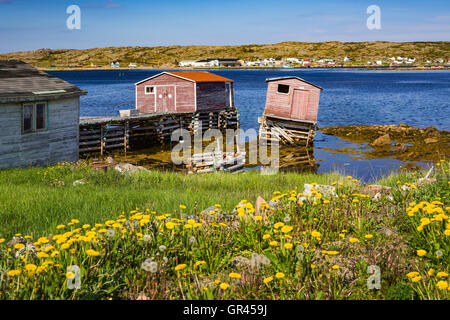 Angelboote/Fischerboote und Stufen in den Hafen von Joe Batts Arm-Barr'd Inseln Shoal Bay, Neufundland und Labrador, Kanada. Stockfoto