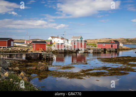 Angelboote/Fischerboote und Stufen in den Hafen von Joe Batts Arm-Barr'd Inseln Shoal Bay, Neufundland und Labrador, Kanada. Stockfoto