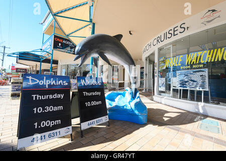 Wal- und Delfinbeobachtungen Agentur in Huskisson, Jervis Bay, New South Wales, NSW, Australien Stockfoto