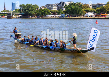 Drachenbootrennen auf dem Main, während das Museumsuferfest (Museumsufer) Festival in Frankfurt Am Main, Deutschland Stockfoto