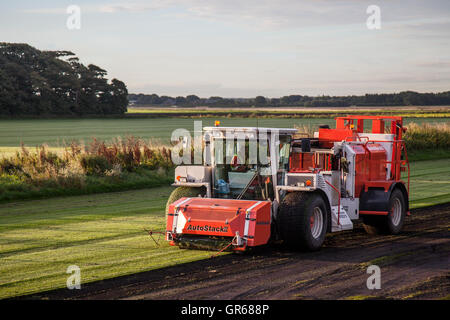 Trebo AutoStack II Mähdrescher ernten Rasen in Lancashire, UK. Kommerziellen Anbau von Rasen auf Land als eine Rotations-Ernte gemietet. Es gibt immer eine hohe Nachfrage nach Sportrasen in Stadien, Golfplätze und andere Einrichtungen im ganzen Land und der Boom im Haus Neubau schafft eine Forderung, die bedeutet Erhöhung der Anbaufläche in Grünland in diesem Jahr erzielt wurden über. Stockfoto