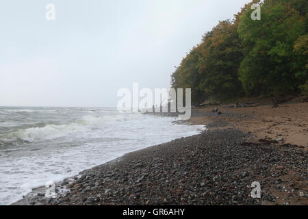 Insel Rügen Herbst 2015, Mecklenburg Vorpommern, Deutschland, Europa Stockfoto