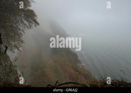 Insel Rügen Herbst 2015, Mecklenburg Vorpommern, Deutschland, Europa Stockfoto