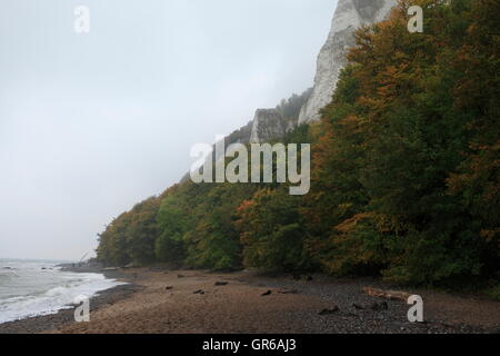 Insel Rügen Herbst 2015, Mecklenburg Vorpommern, Deutschland, Europa Stockfoto