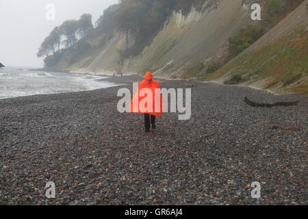 Insel Rügen Herbst 2015, Mecklenburg Vorpommern, Deutschland, Europa Stockfoto