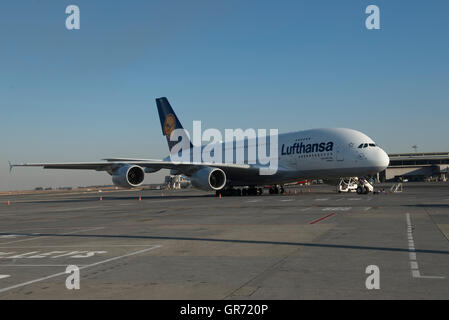 Lufthansa-Airbus 300-800 am Stockfoto