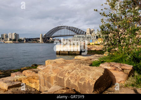 Barangaroo Reserve mit Blick auf die Sydney Harbour Bridge, Sydney, New South Wales, Australien Stockfoto