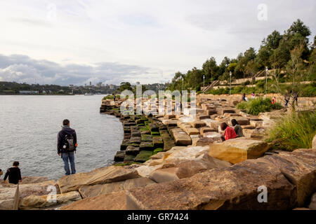 Barangaroo Reserve, Sydney, New South Wales, Australien Stockfoto