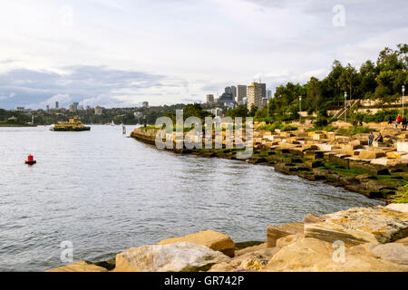 Barangaroo Reserve, Sydney, New South Wales, Australien Stockfoto