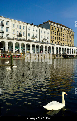 Alsterarkaden In Hamburg Stockfoto